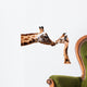 Clipping giraffe and baby giraffe Wall Decal