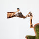 Clipping giraffe and baby giraffe Wall Decal