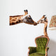 Clipping giraffe and baby giraffe Wall Decal