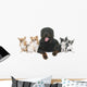rottweiler and chihuahuas Wall Decal