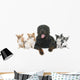rottweiler and chihuahuas Wall Decal