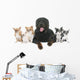 rottweiler and chihuahuas Wall Decal