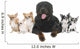 rottweiler and chihuahuas Wall Decal