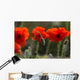 Poppy Wall Mural