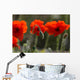Poppy Wall Mural