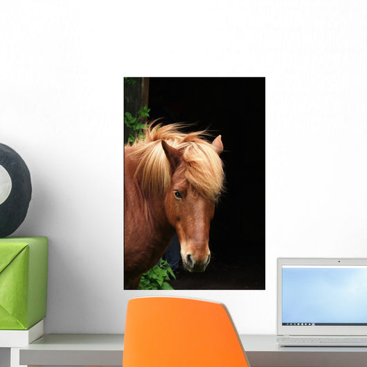Horse Wall Decal