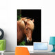 Horse Wall Decal
