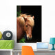 Horse Wall Decal