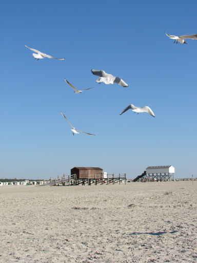 Moven Am Strand Wall Decal