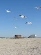 Moven Am Strand Wall Decal