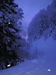 0283 Snow Night Wall Decal