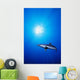 Lone Shark Illuminated Underwater Wall Decal