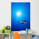 Lone Shark Illuminated Underwater Wall Decal