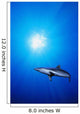 Lone Shark Illuminated Underwater Wall Decal