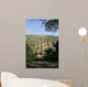 Tuscan Olive Grove Wall Mural