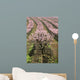 row of blooming peach trees Wall Mural