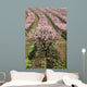 row of blooming peach trees Wall Mural