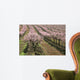 row of blooming peach trees Wall Mural