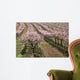 row of blooming peach trees Wall Mural