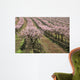 row of blooming peach trees Wall Mural