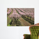 row of blooming peach trees Wall Mural