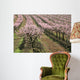 row of blooming peach trees Wall Mural