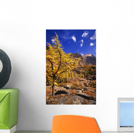 Larch Tree Wall Decal