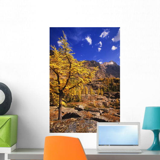 Larch Tree Wall Decal
