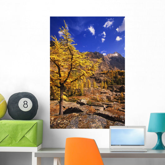Larch Tree Wall Decal