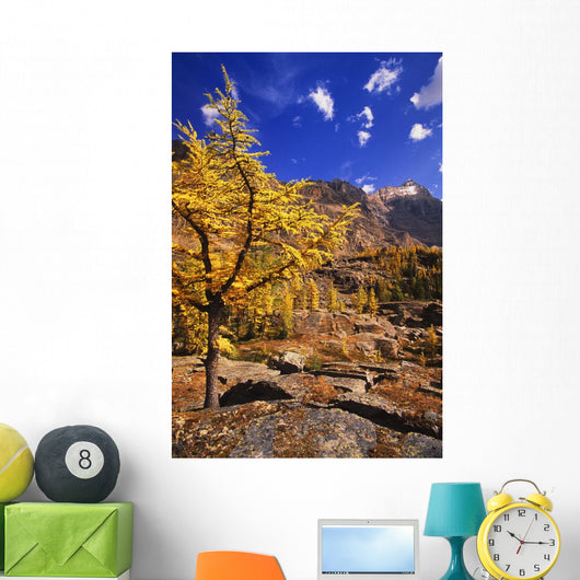 Larch Tree Wall Decal