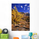 Larch Tree Wall Decal