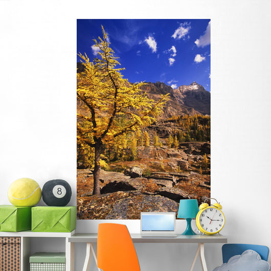 Larch Tree Wall Decal