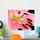Loaded Stamens Wall Mural