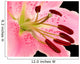 Loaded Stamens Wall Mural