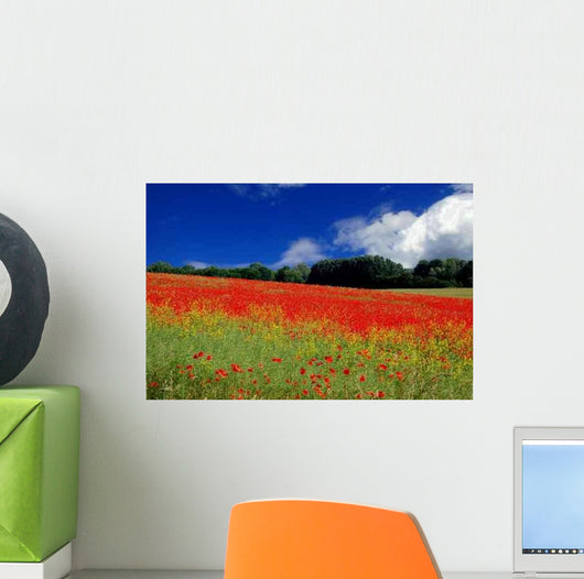 Poppy Meadow Wall Decal