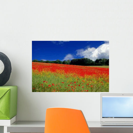Poppy Meadow Wall Decal
