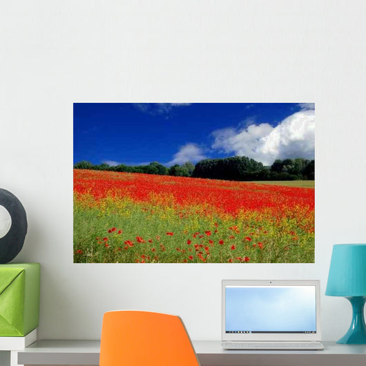 Poppy Meadow Wall Decal
