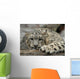 Snow Leopard Wall Mural
