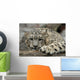 Snow Leopard Wall Mural