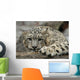 Snow Leopard Wall Mural