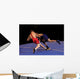 Wrestling Wall Mural