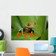 Frog Wall Mural