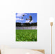 Boy Playing Soccer Wall Mural