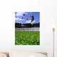 Boy Playing Soccer Wall Mural