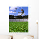 Boy Playing Soccer Wall Mural