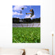 Boy Playing Soccer Wall Mural