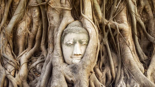 Buddha Head Tree Roots Wall Decal