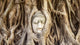 Buddha Head Tree Roots Wall Decal