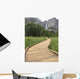 Woman Wooden Walkway Hiking Wall Mural