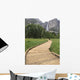 Woman Wooden Walkway Hiking Wall Mural